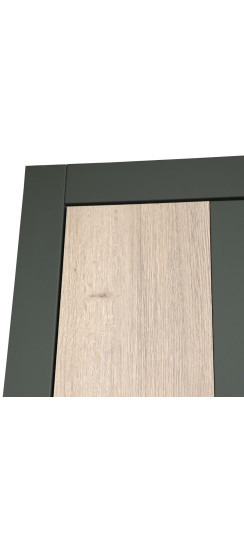 Стальная дверь "Vertu" (биометрический замок) | Порошковое покрытие 