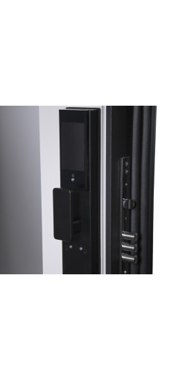 Стальная дверь "Форт" с зеркалом (биометрический замок). | Порошковое покрытие 