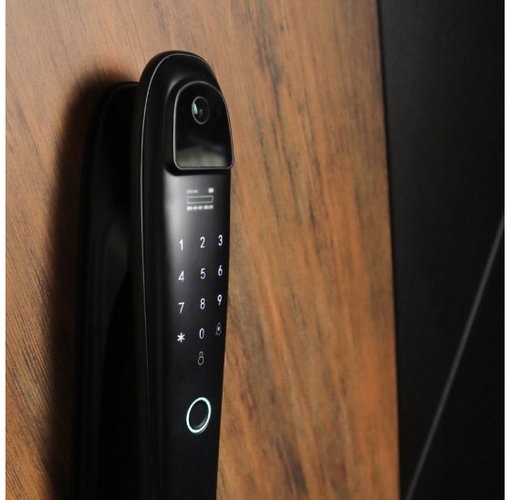 Стальная дверь "Loft" с зеркалом (биометрический замок) | Порошковое покрытие 