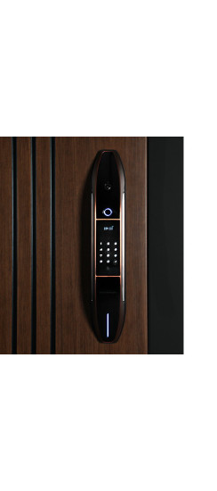 Стальная дверь "Фиджи". Заказная модель. | Порошковое покрытие 