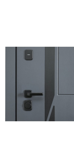 Стальная дверь "Lanua". Заказная модель. | Порошковое покрытие 