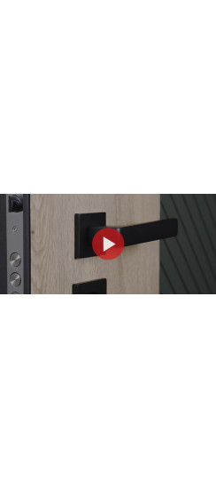 Стальная дверь «Vertu» (адаптивная замковая часть). Заказная модель. | Порошковое покрытие 