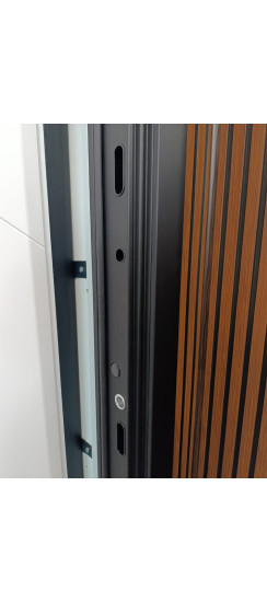 Стальная дверь "Аша" 3Д (биометрический замок). Заказная модель. | Порошковое покрытие 