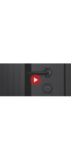 Стальная дверь "Тунис". Заказная модель. | Порошковое покрытие 