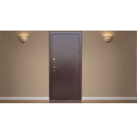 Стальная дверь "Стандарт". Заказная модель. | Порошковое покрытие 