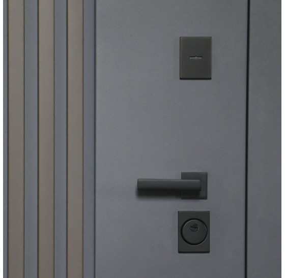 Стальная дверь "Winter" (терморазрыв 3к). Заказная модель. | Два слоя покрытия: первый слой - цинкогрунт, второй слой - порошковое покрытие (дверь -  