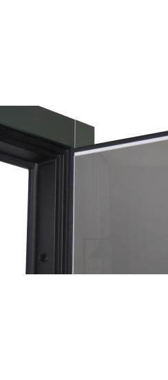 Стальная дверь "Ferrum" с зеркалом (биометрический замок). Заказная модель. | Порошковое покрытие 