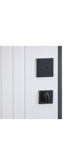 Стальная дверь "Planum". Заказная модель. | Порошковое покрытие 