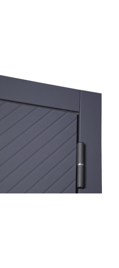 Стальная дверь "Статус". Заказная модель. | Порошковое покрытие 