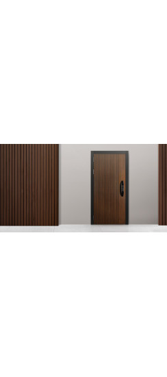 Стальная дверь "Фиджи". Заказная модель. | Порошковое покрытие 