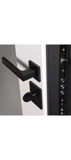 Стальная дверь "Бастион" с зеркалом. Заказная модель. | Порошковое покрытие 