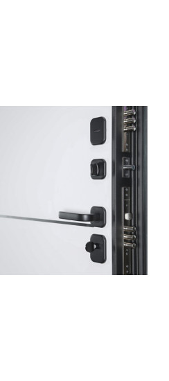 Стальная дверь "Трея". Заказная модель. | Порошковое покрытие 