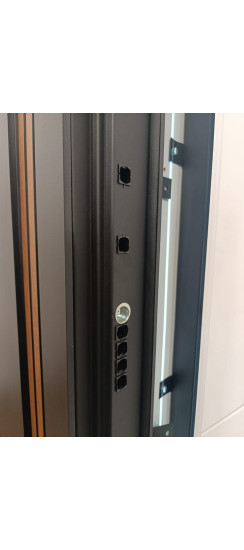 Стальная дверь "Freedom" с зеркалом. Заказная модель. | Порошковое покрытие 