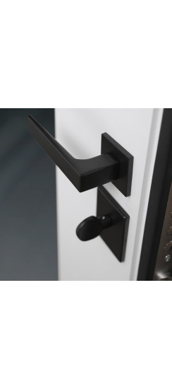 Стальная дверь "Зетта" с зеркалом. Заказная модель. | Порошковое покрытие  