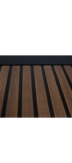 Стальная дверь «Sena» с зеркалом. Заказная модель. | Порошковое покрытие 