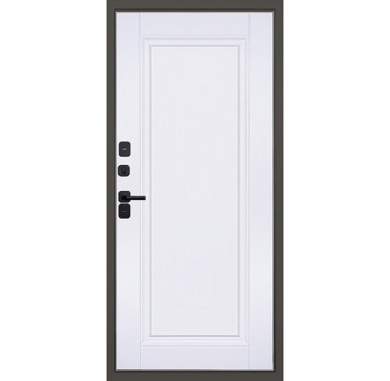 Стальная дверь "Коралл" (терморазрыв 3к). Заказная модель. | Порошковое покрытие 