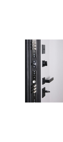 Стальная дверь "Tesoro". Заказная модель. | Порошковое покрытие 