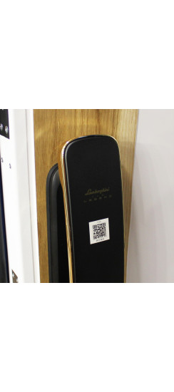 Стальная дверь "Lamborghini". Заказная модель. | Два цвета покраски коробки: внешняя сторона - 