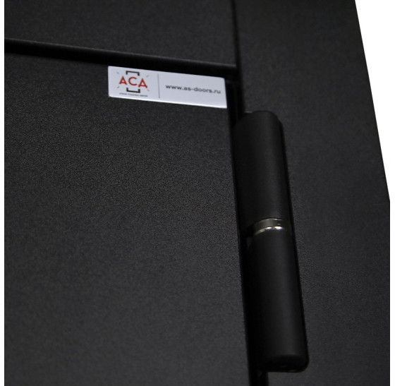 Стальная дверь "Loft" с зеркалом (биометрический замок) | Порошковое покрытие 