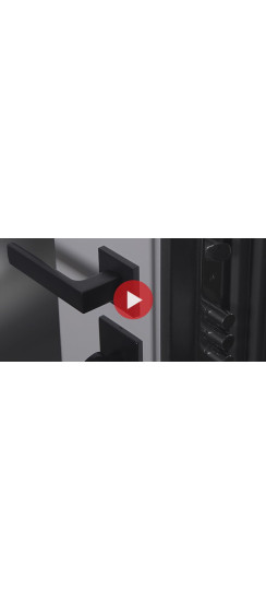 Стальная дверь "Ferrum" с зеркалом (адаптивная замковая часть) | Порошковое покрытие 