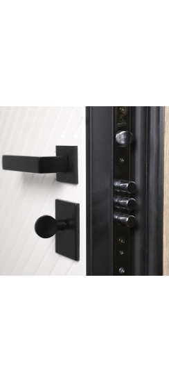 Стальная дверь "Ferrum" от дизайнеров | Порошковое покрытие 