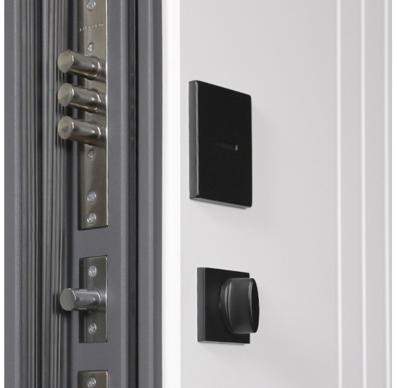 Стальная дверь "Winter" (терморазрыв 3к). Заказная модель. | Два слоя покрытия: первый слой - цинкогрунт, второй слой - порошковое покрытие (дверь -  