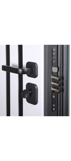 Стальная дверь "Афина". Заказная модель. | Порошковое покрытие 