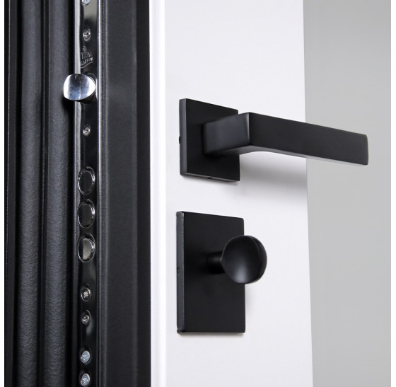 Стальная дверь "Silver" с зеркалом. Заказная модель. | Порошковое покрытие 