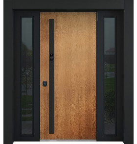 Стальная дверь "Tibr" (терморазрыв). Заказная модель. 2100х1700