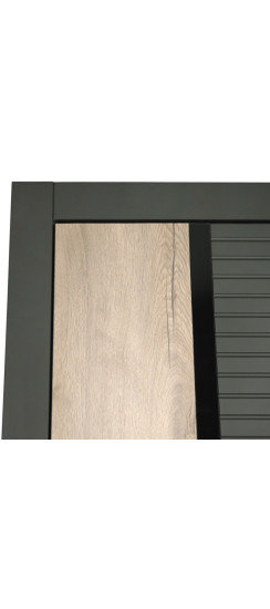 Стальная дверь "Ferrum" (биометрический замок) | Порошковое покрытие 