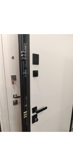 Стальная дверь "Денвер"  (биометрический замок). Заказная модель. | Порошковое покрытие 