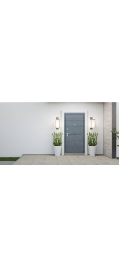 Стальная дверь "Президент". Заказная модель. | Порошковое покрытие 