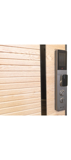 Стальная дверь "Antro". Заказная модель. | Порошковое покрытие 