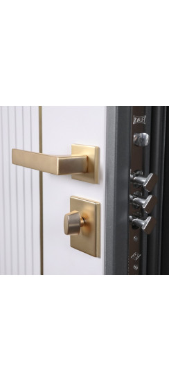 Стальная дверь "Лига". Заказная модель. | Порошковое покрытие 