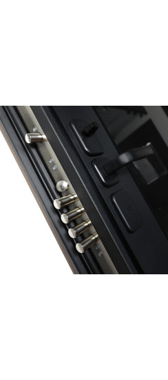 Стальная дверь «Sena» с зеркалом. Заказная модель. | Порошковое покрытие 