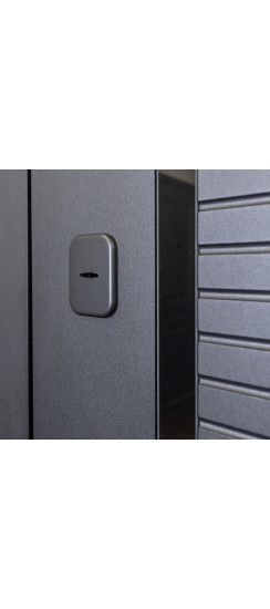 Стальная дверь "Dominica" с зеркалом. Заказная модель. | Порошковое покрытие 