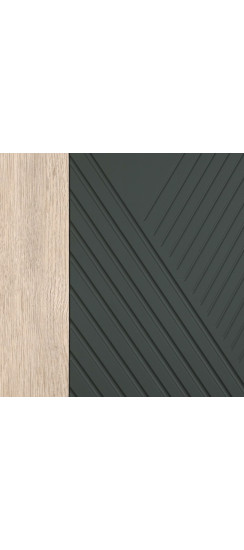 Стальная дверь "Vertu" (биометрический замок) | Порошковое покрытие 