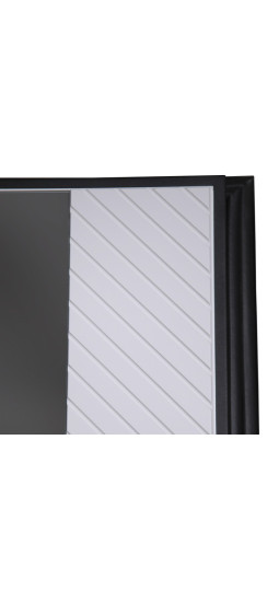 Стальная дверь "Форт" с зеркалом (биометрический замок). | Порошковое покрытие 