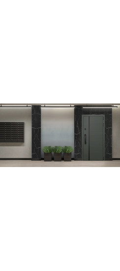 Стальная дверь "Ferrum" с зеркалом (биометрический замок). Заказная модель. | Порошковое покрытие 