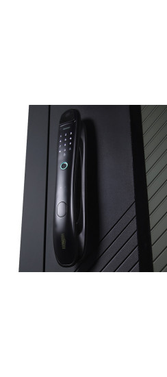 Стальная дверь "Форт" с зеркалом (биометрический замок). | Порошковое покрытие 