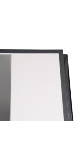 Стальная дверь "Бастион" с зеркалом (биометрический замок) | Порошковое покрытие 