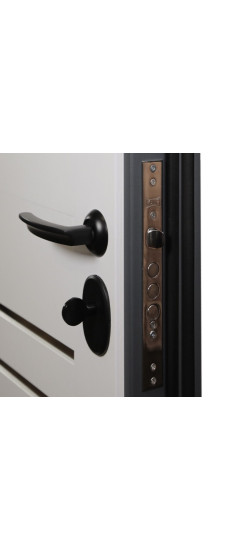 Стальная дверь "Валенс". Заказная модель. | Порошковое покрытие 