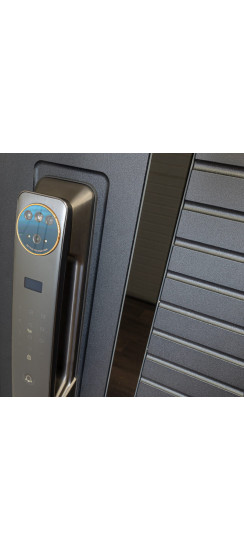 Стальная дверь "Antro". Заказная модель. | Порошковое покрытие 