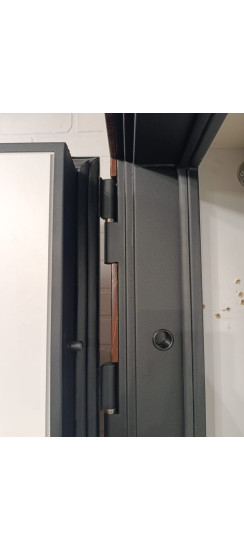 Стальная дверь "Денвер"  (биометрический замок). Заказная модель. | Порошковое покрытие 