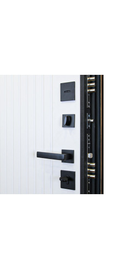 Стальная дверь "Planum". Заказная модель. | Порошковое покрытие 