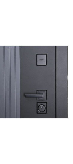 Стальная дверь "Tesoro". Заказная модель. | Порошковое покрытие 