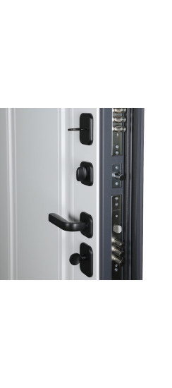 Стальная дверь "Амур". Заказная модель. | Порошковое покрытие 