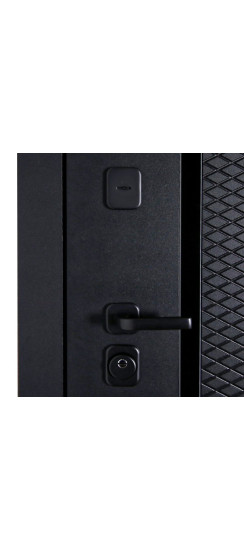 Стальная дверь "Ego". Заказная модель. | Порошковое покрытие 