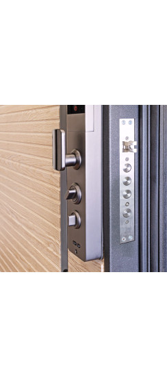 Стальная дверь "Antro". Заказная модель. | Порошковое покрытие 