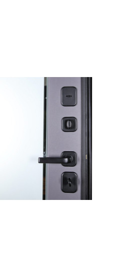 Стальная дверь "Ego". Заказная модель. | Порошковое покрытие 